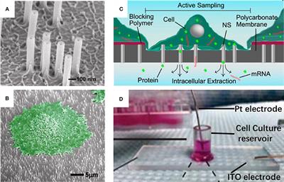 The Most Recent Advances in the Application of Nano-Structures/Nano-Materials for Single-Cell Sampling